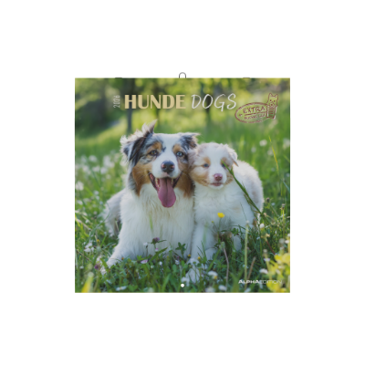 Hunde